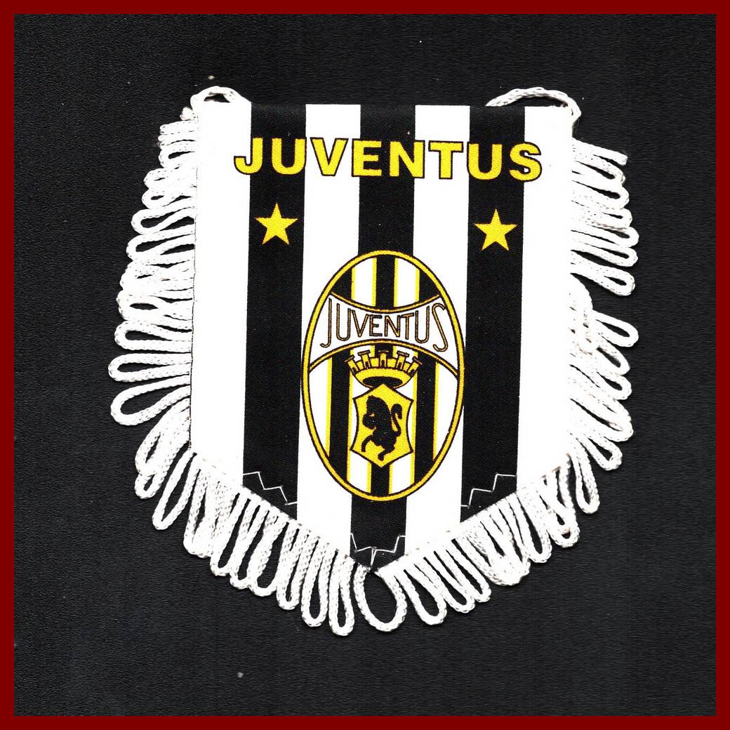 Photo 333 DOUBLE ITALIE 08: Juventus Turin